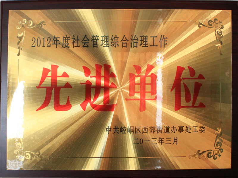 2013年3月15日集团公司荣获2012年度综治工作先进单位